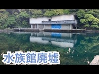 ずっと行きたかった水族館の廃墟に行ってきた【Beautiful scenery of japan】