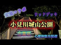 小見川城山公園【心霊検証コラボ生配信】千葉県香取市　　#心霊スポット#千葉#アムロ