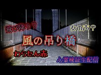 風の吊り橋（秦野戸川公園）【心霊検証霊障生配信】神奈川県秦野市　　#心霊スポット#神奈川