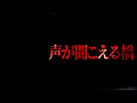 【心霊】心霊検証中に起きたありえない現象（田人大橋･四時ダム）