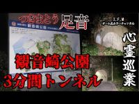 【観音崎公園・3分間トンネル】まだ見ぬ心霊を求めて #39 【心霊巡業】