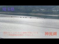 心霊マニア 神流湖（埼玉県）