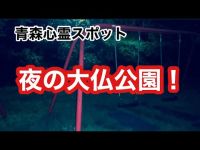 【心霊スポット】夜の大仏公園！