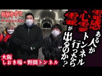 【大阪しおき場・野間トンネル・後編】霊感ある人が心霊トンネルに１人で行ったら霊は出てくるのか？検証しております【ゴーストハント#36】Japanese horror 関西有名心霊スポット 処刑場慰霊碑