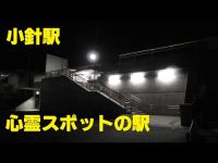 【特別投稿動画】プチ電車の旅　心霊スポットの駅　小針駅(新潟県新潟市)