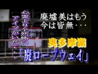 東京廃墟【奥多摩湖廃ロープウェイ】～廃墟美はもうそこには皆無～