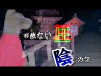 ⚠️閲覧注意⚠️配信中に体調不良なっちゃいました 山全体に漂う陰の気 山城  神社から 無数の霊体が寄ってくる場所 心霊配信者じゃ初の心霊アイテム使ってます