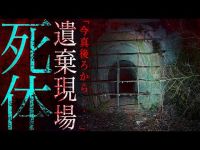 【※怪現象多発】低く鳴り響いた”怪奇音”【栃木県最恐「矢板トンネル」】おまけ：人形の廃テーマパーク