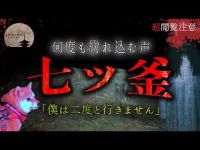 【心霊】マジで怖い..夜1人で行ってはいけない場所【七ツ釜】#83