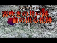 #心霊スポット #埼玉県 #ホラー 【心霊スポット】 霧吹きの井戸跡の奇怪な出来事！？