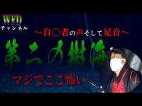 【心霊】第二の樹海と呼ばれるスポットで聞こえる謎の声… ※Japanese horror