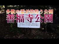 #心霊スポット #オカルト #ホラー 【心霊スポット】多数の霊が彷徨う公園善福寺公園