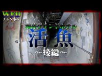 【心霊】千葉県最恐心霊スポット　「ホテル活魚」後編　※Japanese horror