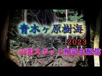 青木ヶ原樹海（富士の樹海2023）【心霊スポット検証生配信】山梨県鳴沢　#horror　#恐怖