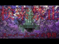 【心霊】三重県の有名心霊スポット「ニャロメの塔」に１人検証を実施するが良くないモノが映り込みました。