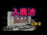 入鹿池【心霊スポット検証生配信】愛知県犬山市　#ghost　#horror