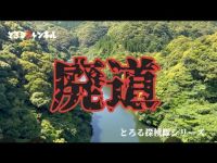 [衝撃]さつま川辺湖に沈む廃道旧19号線と横断橋を探せ！の巻