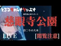 [心霊]鹿児島心霊スポット「慈眼寺公園」Tiktokライブ