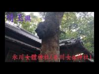 心霊マニア 氷川女體神社（氷川女体神社）（埼玉県）