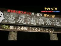 【埼玉県心霊スポット】鶴ヶ島市編（つるがしまし） 心霊スポットを巡…巡り「埼玉県制覇への道～」第十二弾!!