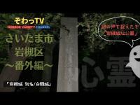 【埼玉県心霊スポット・番外編】～岩槻城址公園～撮影中に謎の声が聞こえた（捉えた）…