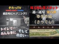 【埼玉県心霊スポット】幸手市（さってし）心霊スポットを巡…巡り「埼玉県制覇への道～」第八弾!! 撮影中にハプニング発生!?