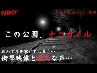 【千島公園(昭和山)・後編】絶対にナニカイル…首吊りの木の下で一人検証したら、背筋が凍る結果が…【ゴーストハント#73】JapaneseHorror