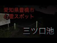 【愛知県豊橋市心霊スポット】三ツ口池