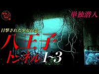 「激ヤバ心霊スポット」東京都内にある廃トンネルに単独潜入！