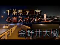 【千葉県野田市心霊スポット】金野井大橋