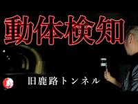 【心霊】検知したものは何なのか？前回のトラウマが蘇る最恐トンネル