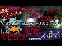 閲覧注意【心霊】最恐トンネルで誰かの声で「はやく消えろ」聞こえました【心霊スポット】時々ツイタチ
