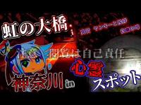 閲覧注意【心霊】神奈川の大橋でビビるヤンキーに挨拶しといた【心霊スポット】時々ツイタチ