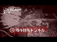 【心霊スポット】しょぼ苦心の挫折、旧小野尻トンネル【悪い方】