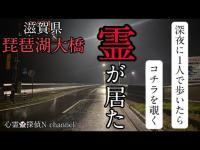 【琵琶湖大橋】居そうにない場所ですが…居られました