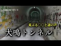 【心霊スポット】犬鳴トンネルで荒ぶる〇〇と車内に潜むナニカ