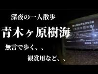 青木ヶ原樹海　深夜の一人散歩　観賞用など