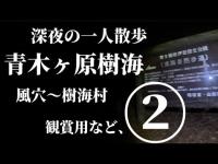 青木ヶ原樹海　風穴～樹海村　観賞用