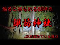 山梨県心霊スポット　祟りの木　諏訪神社