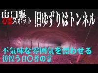 中国地方最終章 山口県心霊スポット 旧ゆずりはトンネル