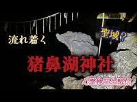 猪鼻湖神社（静岡県浜松市）【心霊スポット検証散歩生配信】　#心霊　#恐怖