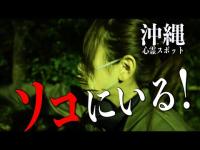 【心霊】完全に見えている霊をリスナーさんが分かるように検証した結果