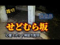 せどむら坂（神奈川県相模原市）【心霊スポット検証生配信】　　#心霊　#horror