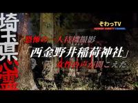 【西金野井稲荷神社】埼玉県心霊スポットめぐ巡り～produce by ぞわっTV～