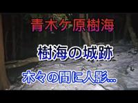 富士青木ケ原樹海の城跡~木々の間に人影が…~