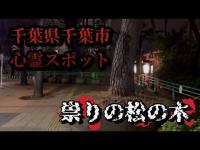 千葉県千葉市心霊スポット【祟りの松の木】伝説・逸話の土地