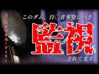 【心霊一人検証】自〇者増加の心霊ダムで一人検証。自〇者を映すというカーブミラーや恐らくここからという場所で定点検証しました。