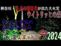 【心霊スポットの今】大火災の犠牲者の霊が彷徨う・ウイトリッヒの森【2024年3月】