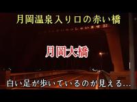 新発田市心霊スポット月岡大橋　白い足が見えるという橋を歩いてみた