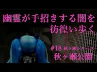 【心靈探訪】 『強い靈が映っています、閲覧注意！』失くし物を探して、数多の霊がはびこる闇を彷徨う…… #18-秋ヶ瀬公園